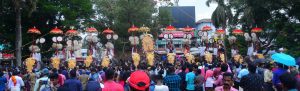 A view of caprive elephants on display at Thrissur Pooram