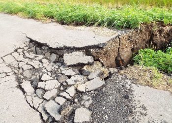 According to the National Centre of Seismology data, Earthquakes with low intensity have been reported in the districts of Hassan, Kodagu, Dakshina Kannada, Kalaburagi and Bidar.
