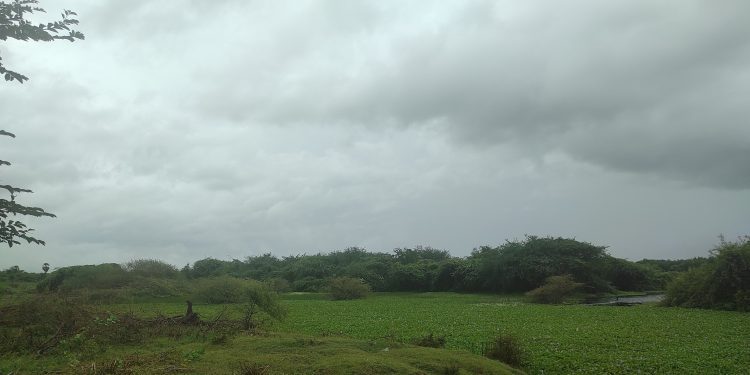 Udhayamarthandapuram Ramsar wetland, Tamil Nadu