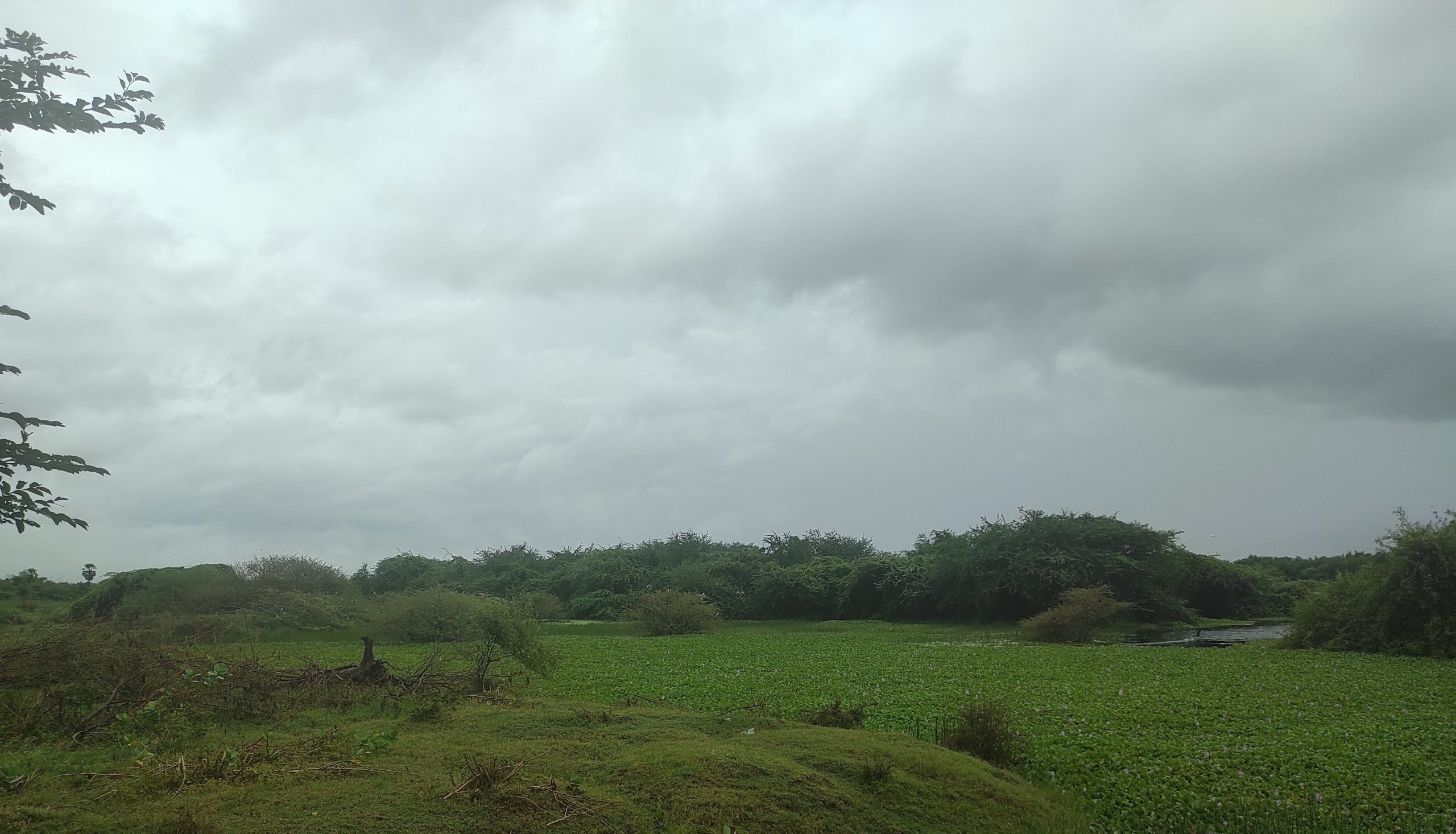 Udhayamarthandapuram Ramsar wetland, Tamil Nadu