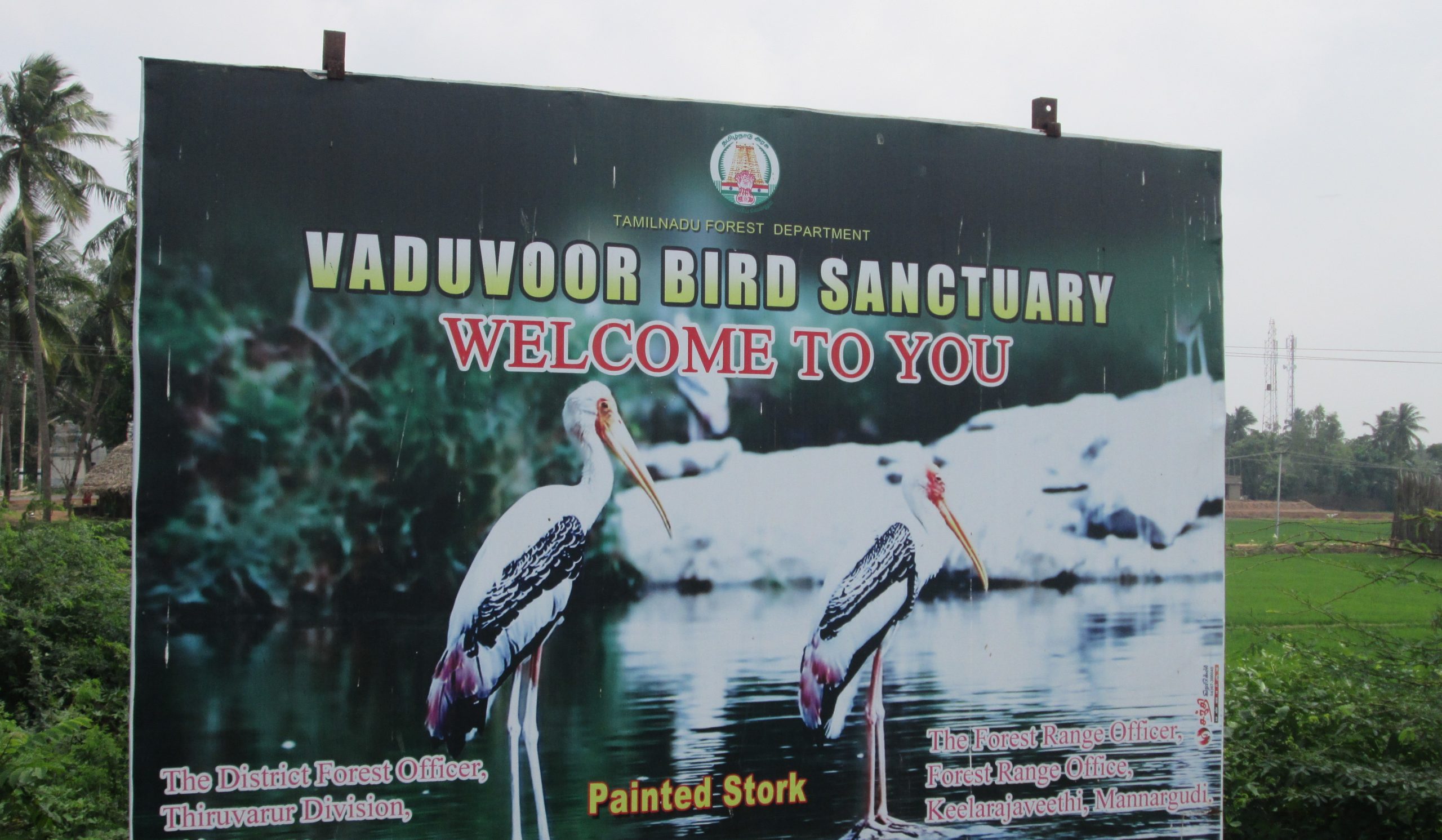 Tamil Nadu now has 14 Ramsar sites in Tamil Nadu. Photo of Vaduvur bird sanctuary