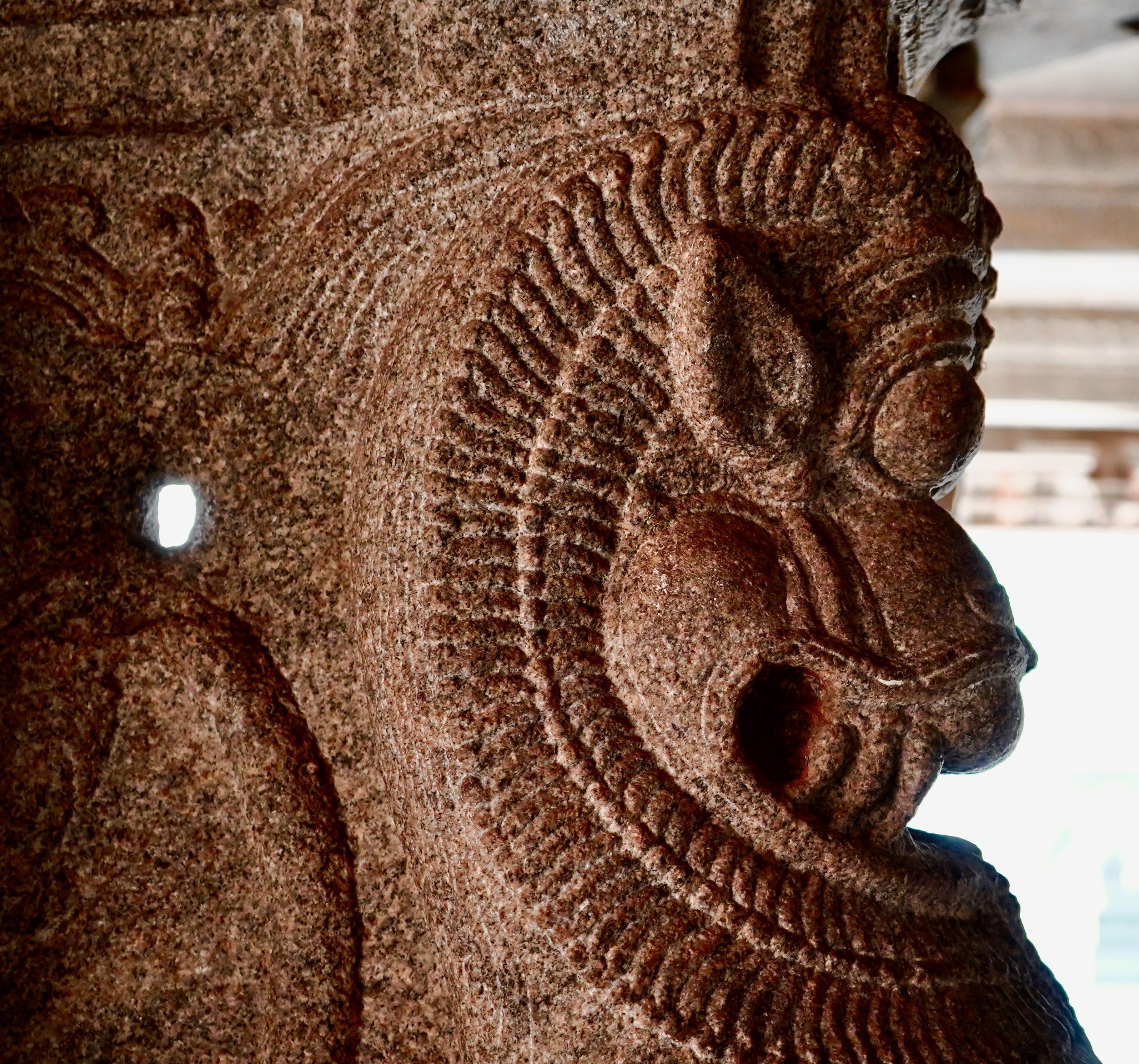 A sculpture from Hampi (Manoj Arora)