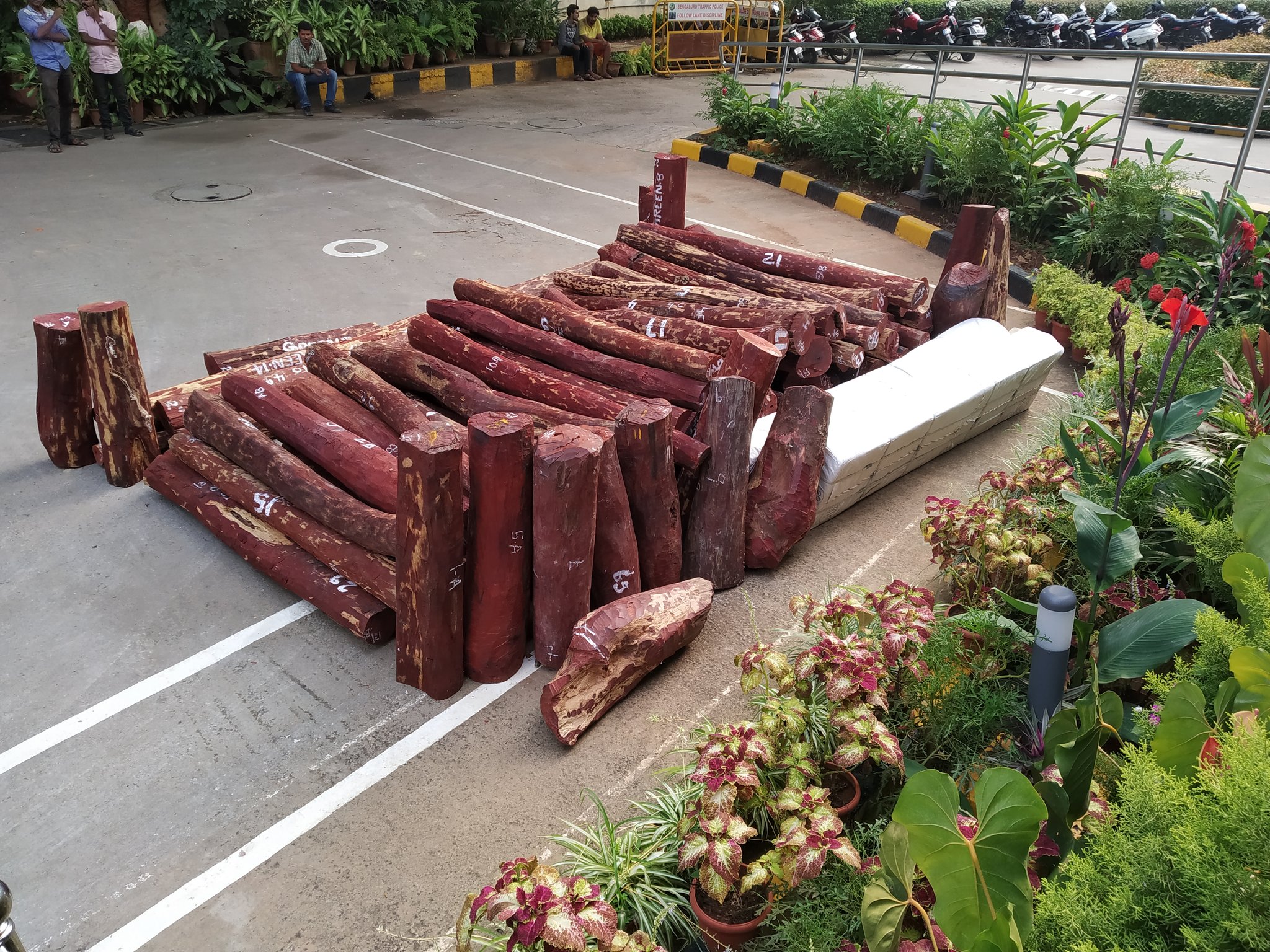 Seized Red Sanders put out on display in front of the City police commissioner's office in Bengaluru