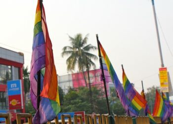 LGBT flags in the little Kerala town of Aluva. (Creative commons)