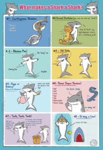 Seven super senses and other shark facts