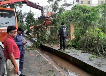 The cyclone uprooted trees and snapped power lines at several places. (Sourced)