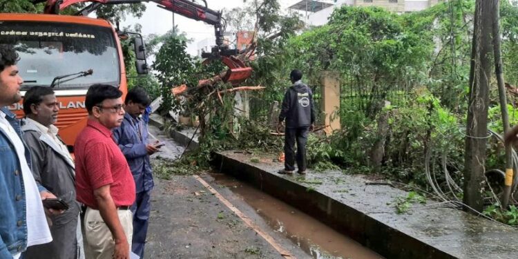 The cyclone uprooted trees and snapped power lines at several places. (Sourced)