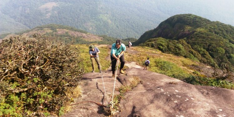 trekking Agasthyarkoodam Kerala