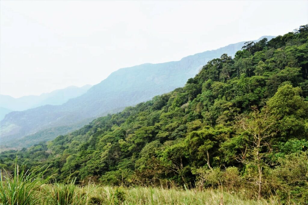 Abode of 'celibate' Sage Agasthya in Kerala is now favourite of women