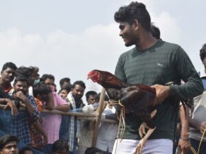 A participant with his rooster in Andhra Pradesh. (Supplied)