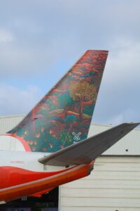Smitha's artwork on the tail of an Air India Boeing 737-800 aircraft. (Air India/Twitter)