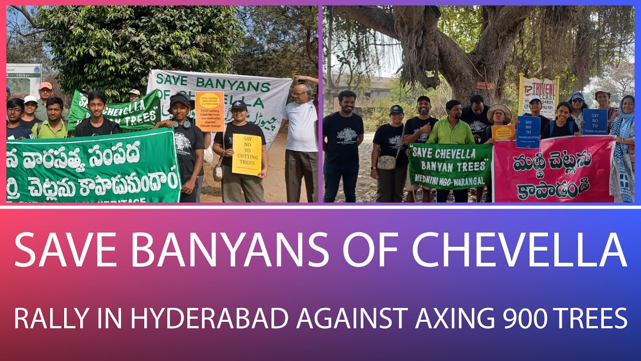 Save Banyans of Chevella
