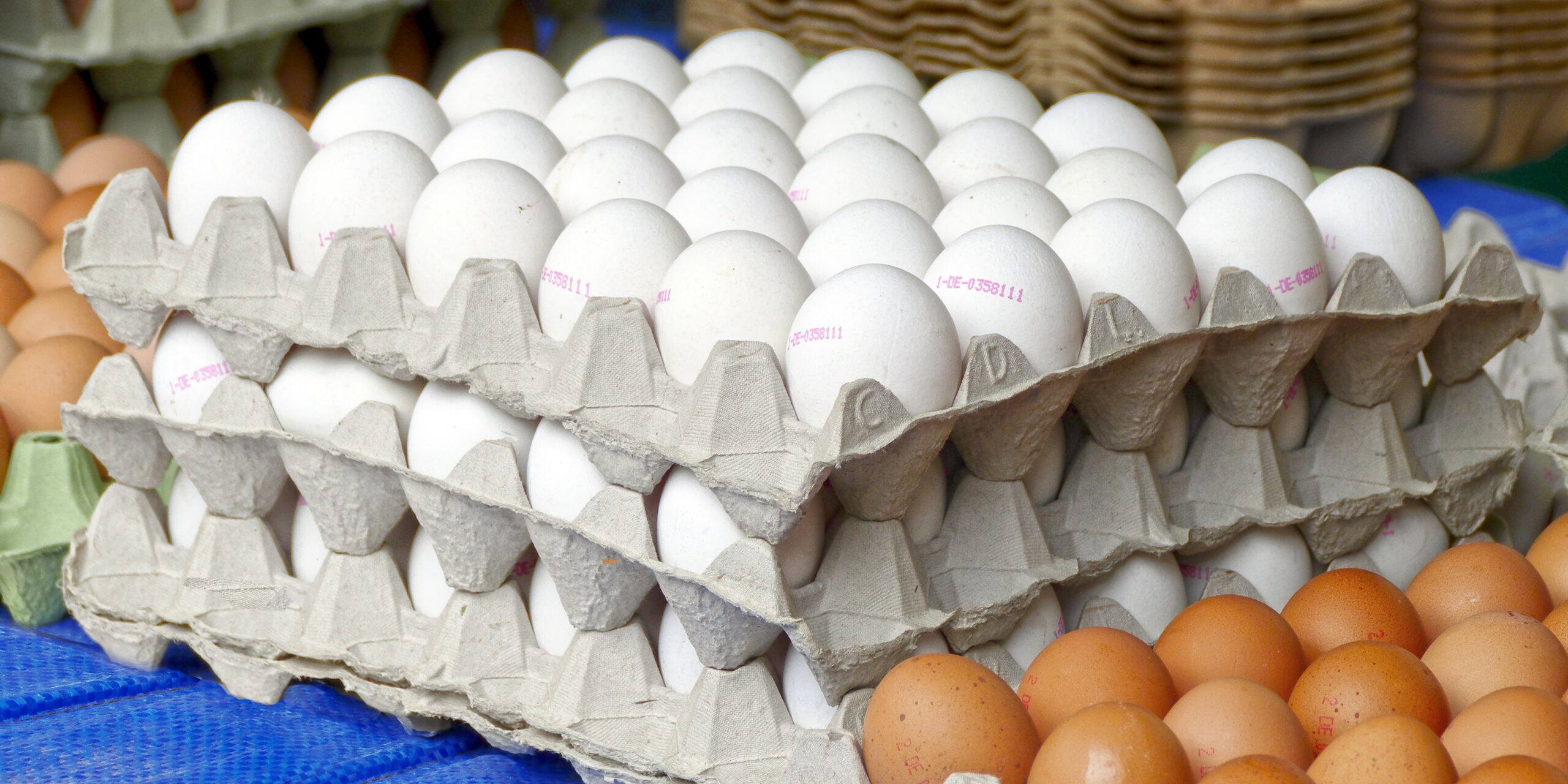 The Karnataka Administrative Reforms Commission has recommended more eggs to bring children back from being malnourished in the state. (Creative Commons)
