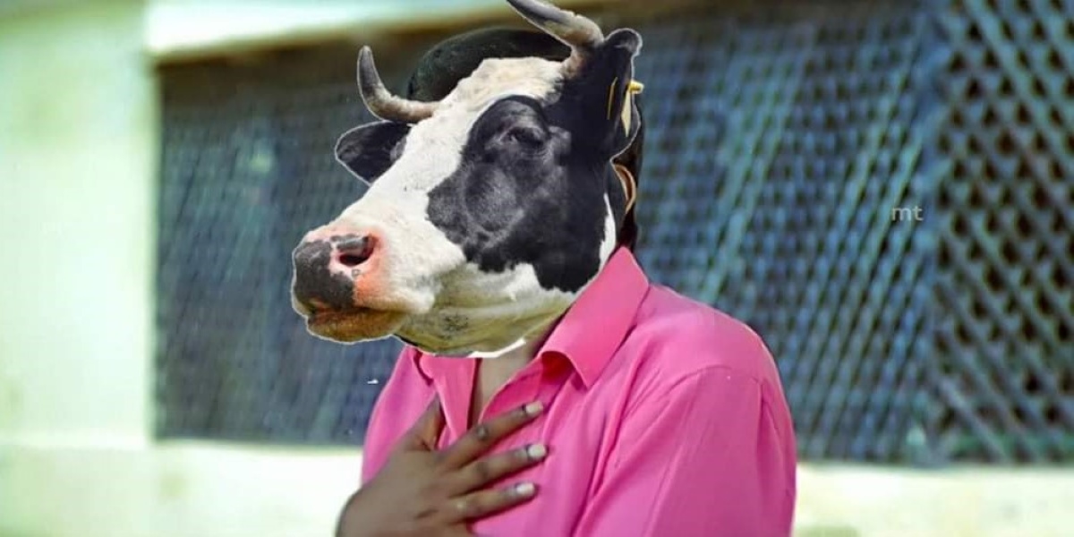 Hug your own Valentine: Animal Welfare board revokes its circular on 'Cow  Hug Day' - The South First