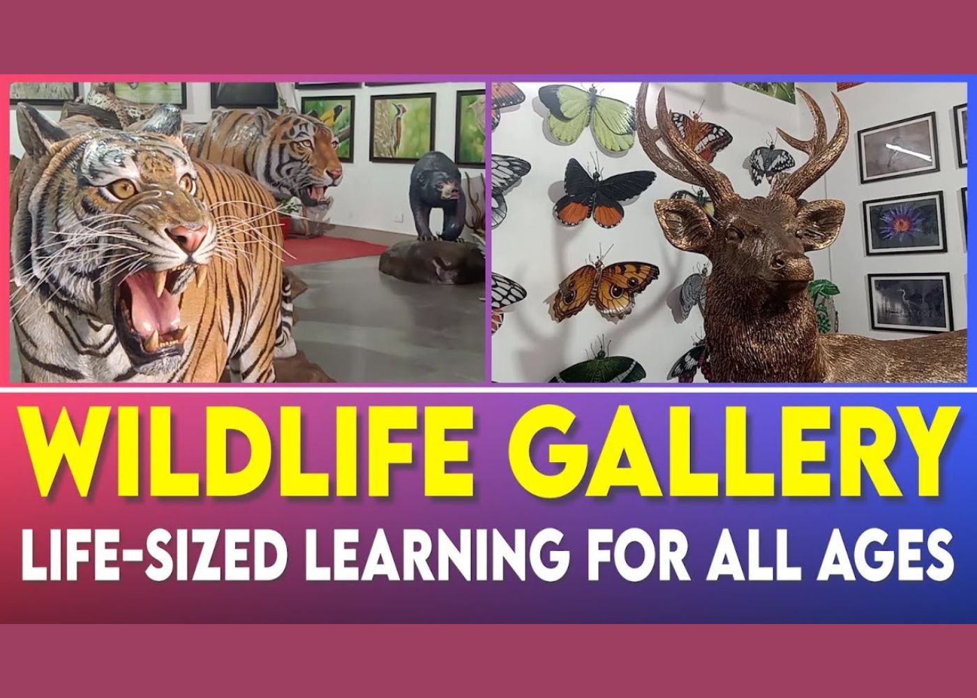 wildlife gallery in Puducherry