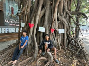 One of the heritage trees marked for axing for the upcoming Sankey Road Flyover project in Bengaluru