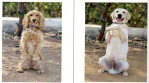 Two of the new graduates. (Supplied)