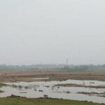 Thenneri lake near Kanchipuram during the dry season