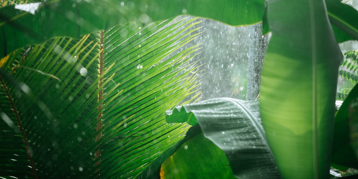 Acid rain in Kochi. Representational Image. (iStock)