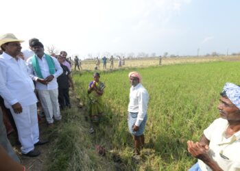 Telangana CM K Chandrashekar Rao inspecting damaged crops on 23 March in Khammam district. (Supplied)