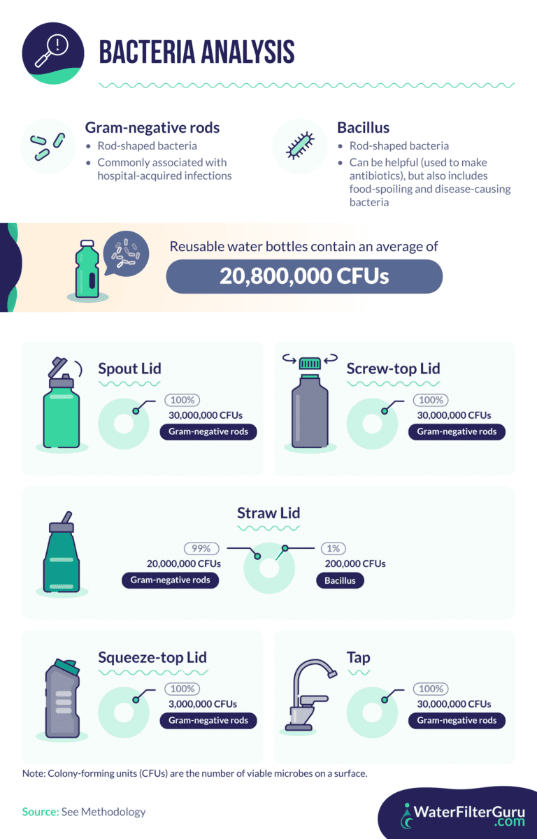 Your reusable water bottle contains 40,000 times more bacteria than a