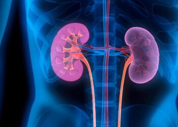 10% of the Indian population is affected by chronic kidney disease, say experts. (Wikimedia Commons)