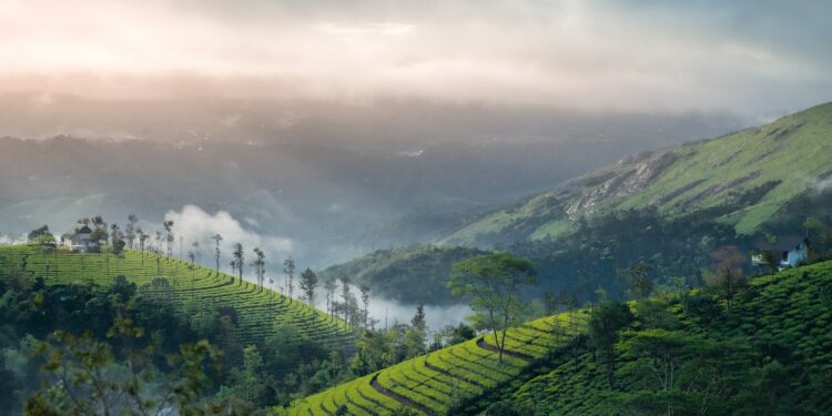 Kerala is a treasure trove of lesser-known but magnificent locations. (Creative Commons)