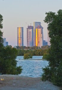 Mangrove forests are being cleared for buildings. (Creative Commons)