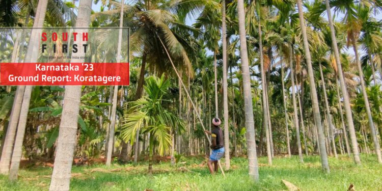 Coconut Farmer Koratagere