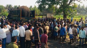 The tusker Karuppan being loaded in a lorry to be shifted to an undisclosed location (Special Arrangement)