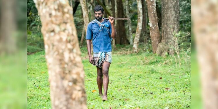 Nallamayan, one among the reformed poachers, on duty. (KA Shaji/ South First)