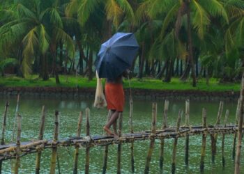 Monsoon in Kerala. (official website/Kerala Tourism)