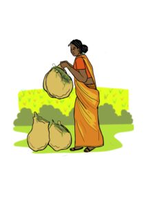 A caricature of Shivamma Banashankari collecting 'soppu'. (Supplied)