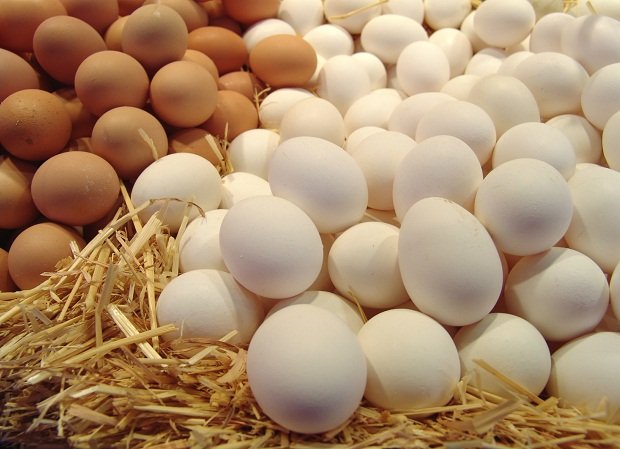 Are there steroids in eggs