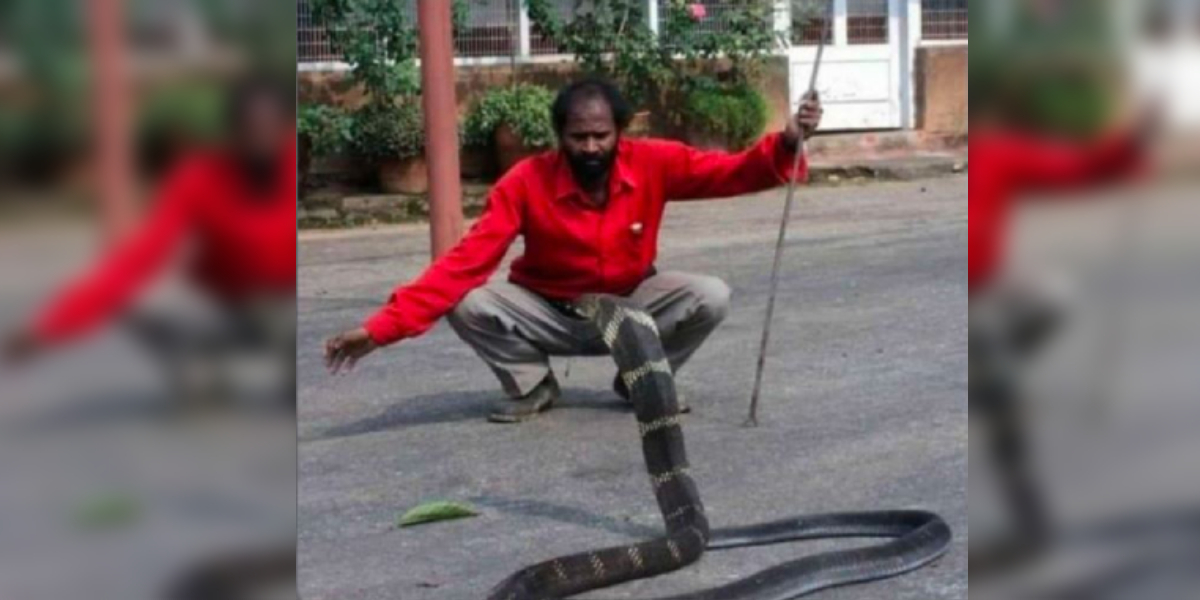 Snake Rescuer 'Snake' Naresh bitten by Cobra dies in Chikkamagaluru