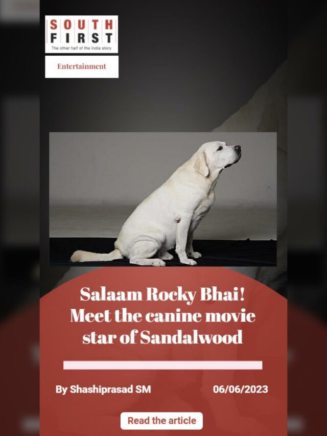Salaam Rocky Bhai! Meet the canine movie star of Sandalwood