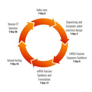 GEMCOVAC: The mRNA turnaround time reduces the entire vaccine formulation and development stage drastically. (Gennova)