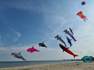 A sneak peek into the Tamil Nadu Worldwide Kite Competition 2023