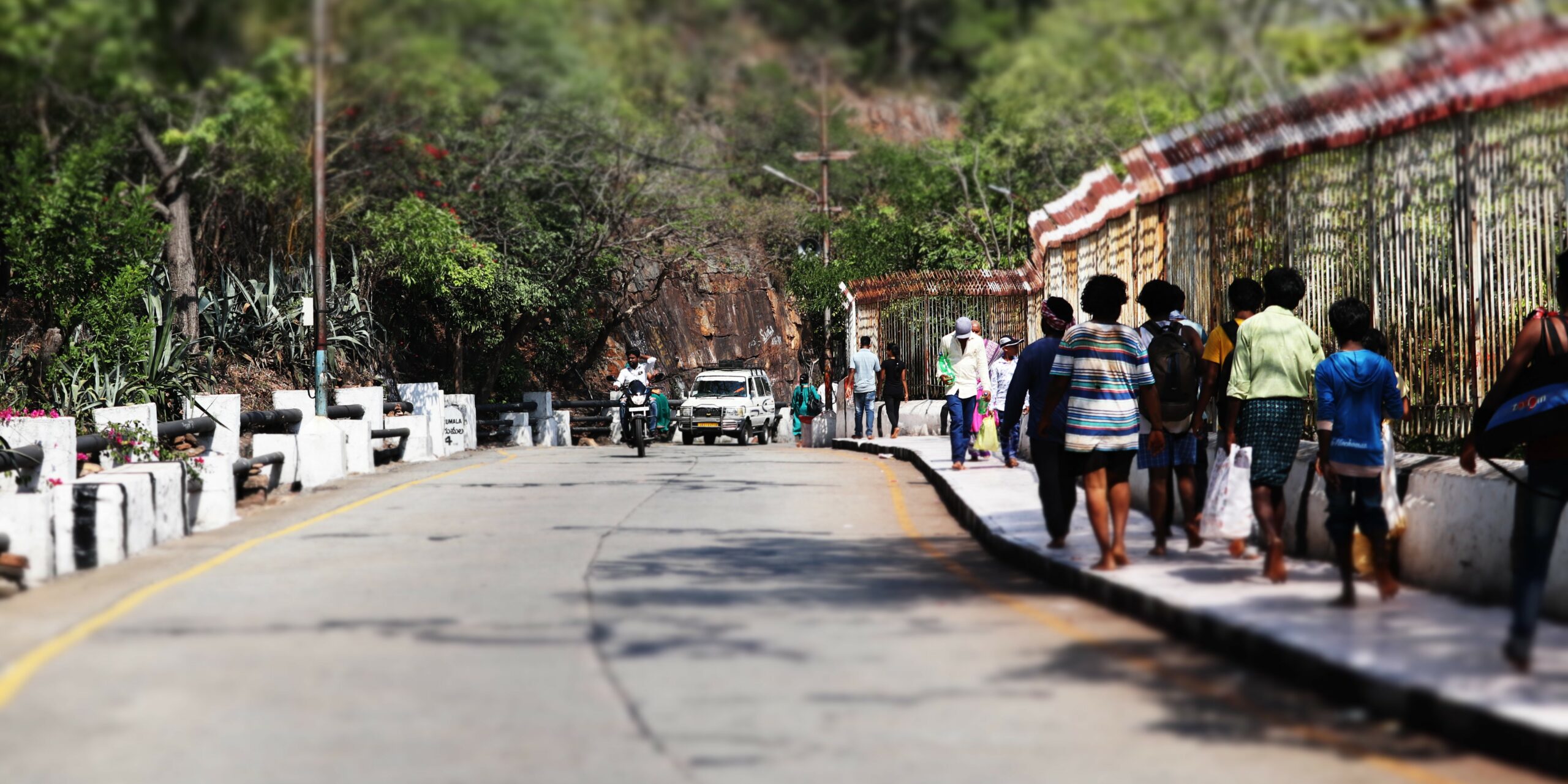 One of the pedestrian routs to the Tirumala temple.
