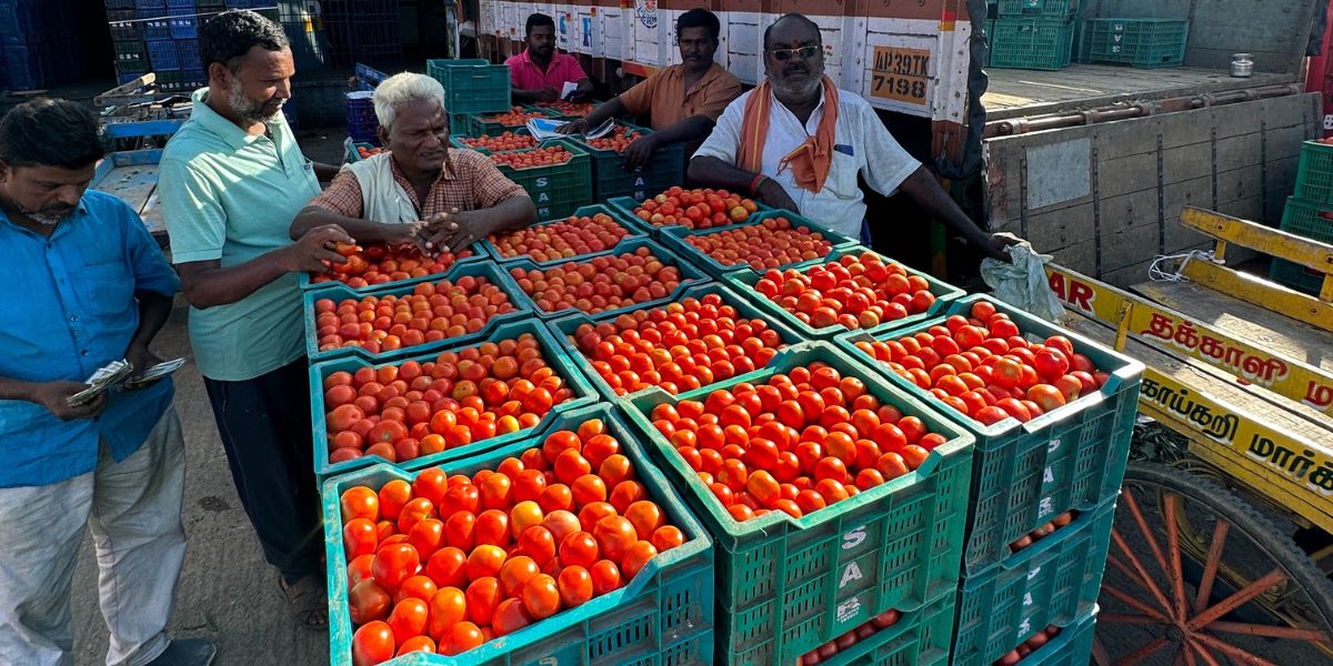 Tomato wholesalers in Koyambedu.