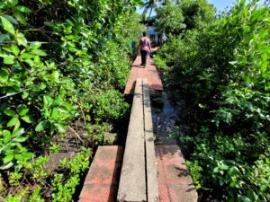 Broken down pathways only form of connectivity inside island of Thanthoni Thuruth