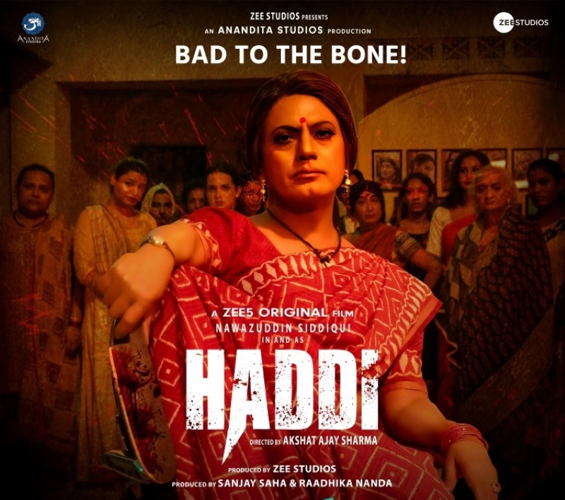 movie review of haddi