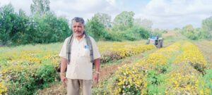 Chandrashekhar at his Sevanthige farm in Arakalgudu