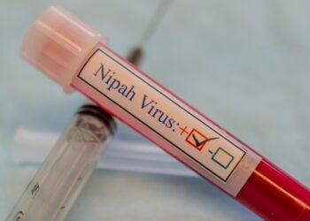 Chief Minister Pinarayi Vijayan announces that the Nipah outbreak is under control. (iStock)