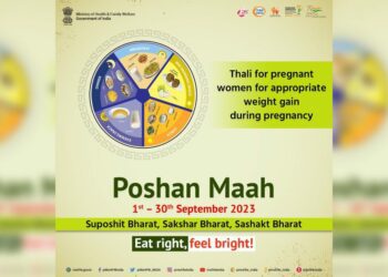 A poster promoting iron-rich food released by the Union Health Ministry. (Sourced)