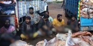 Drivers and butchers made to sit with severed cattle heads in their laps, video grab