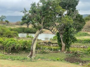 Water source of Chengadi