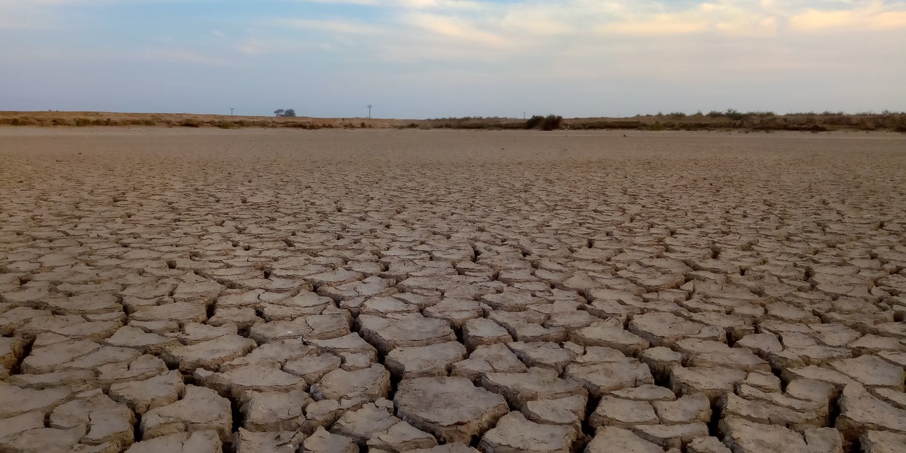 Karnataka has declared 216, out of a total 236 taluks, as drought-hit. (iStock)