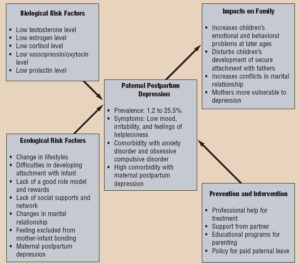 Model of paternal postpartum depression. (Sad dads: Paternal Postpartum- Pilyoung Kim, James E Swain)