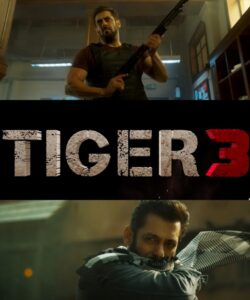 A poster of the film Tiger 3
